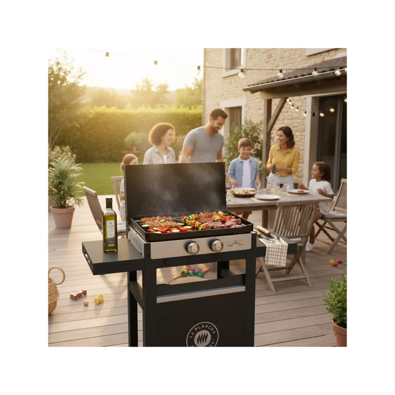 Plancha gaz LE MARQUIER FRANCAISE 250 GAZ DUO