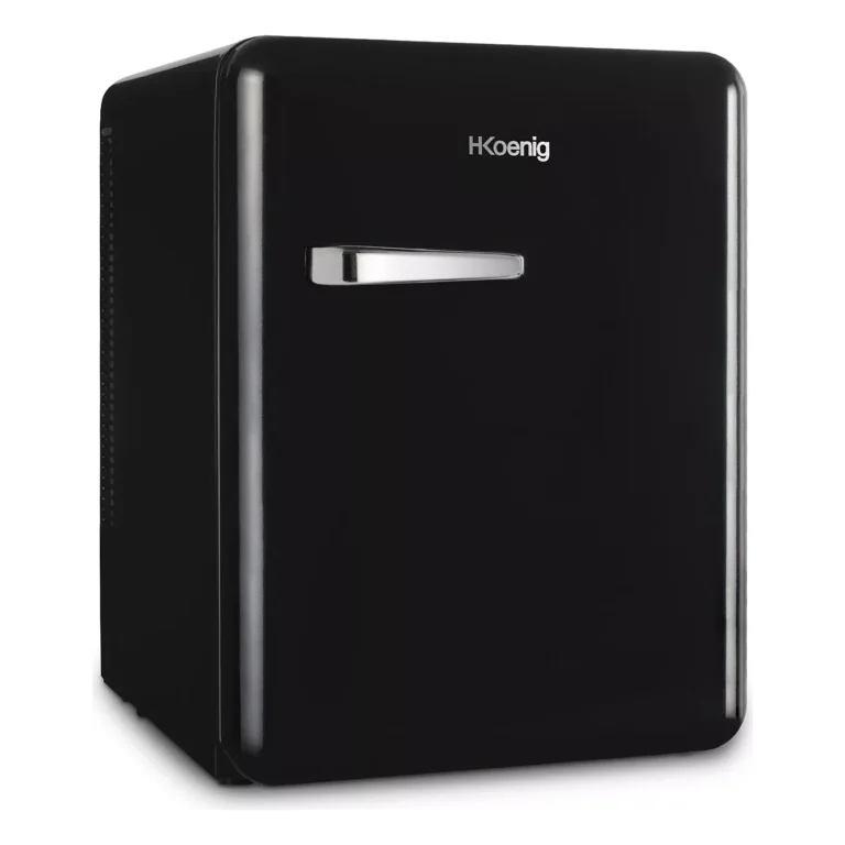 Mini réfrigérateur H.KOENIG TOAD9