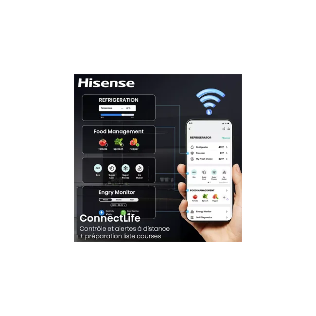 Réfrigérateur multi portes HISENSE RQ640P5SSD