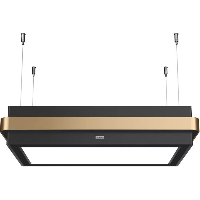 Hotte décorative îlot FRANKE 463231