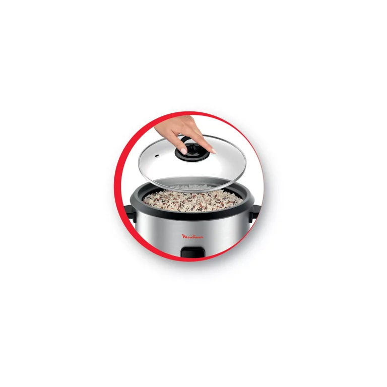 Cuiseur riz MOULINEX MK123D10 Easy rice