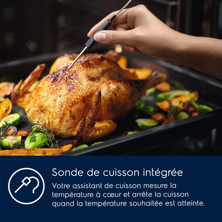 Four Pyro ELECTROLUX EOE6P57X SenseCook
