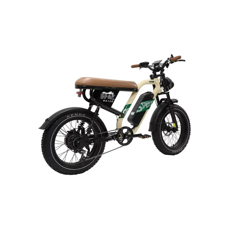 Vélo électrique ONESPORT W66