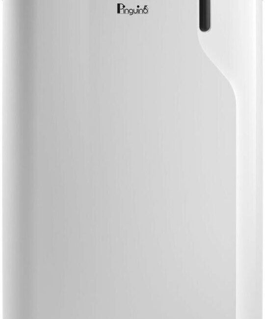 De'Longhi Pinguino PAC EM90 Silent